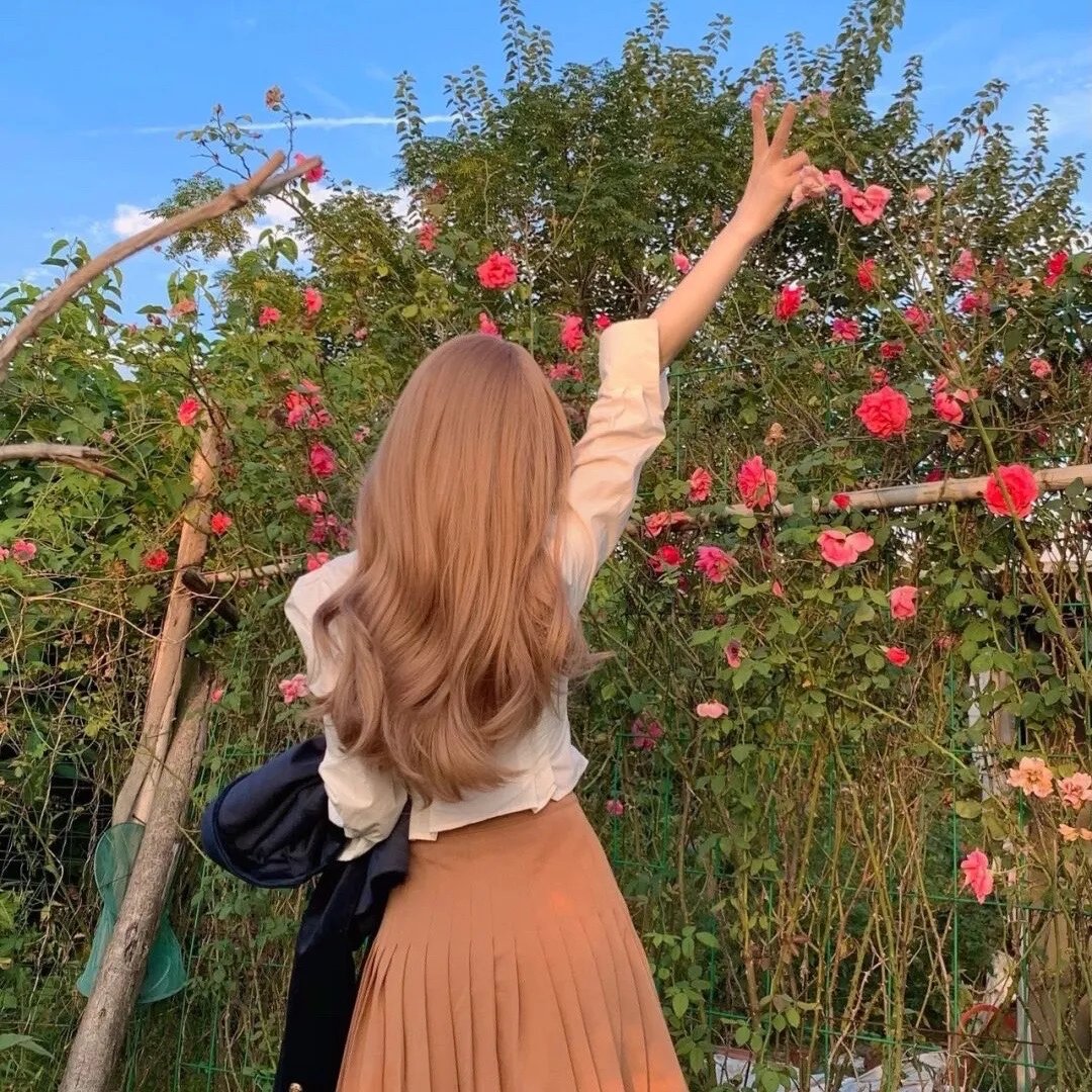 泡芙小姐第四季