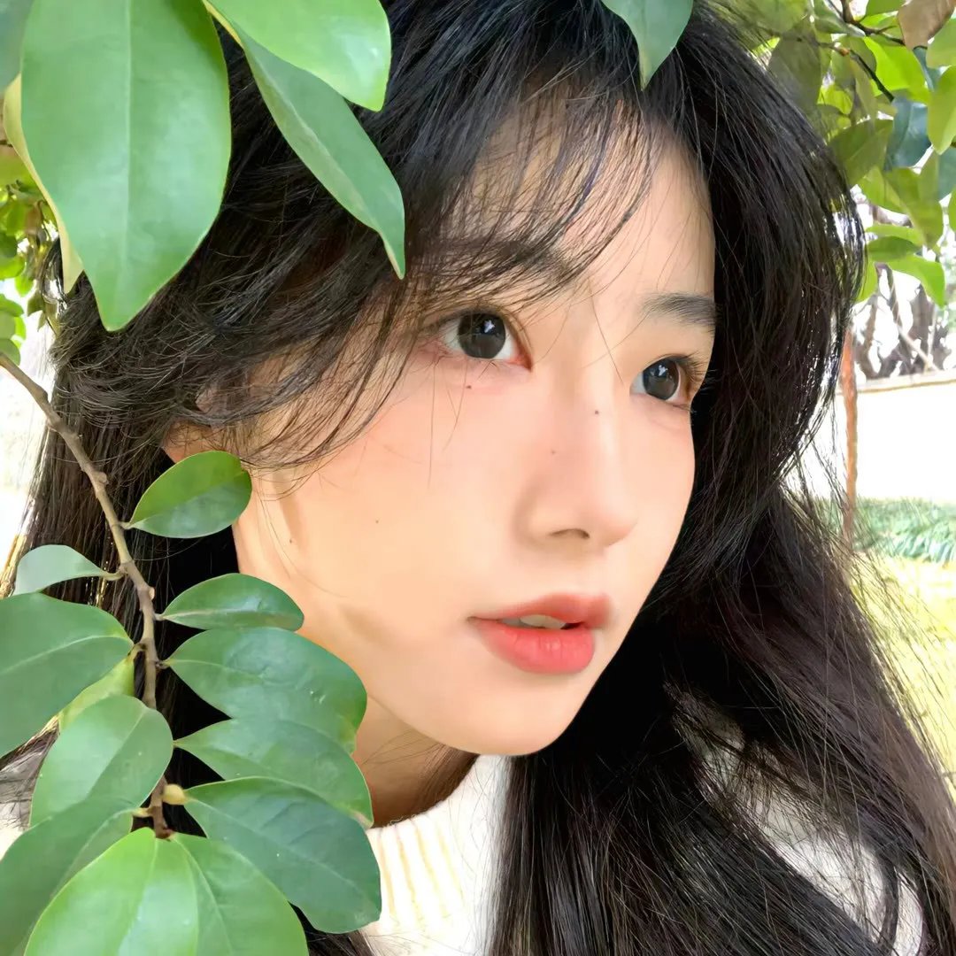 他的脑子有病